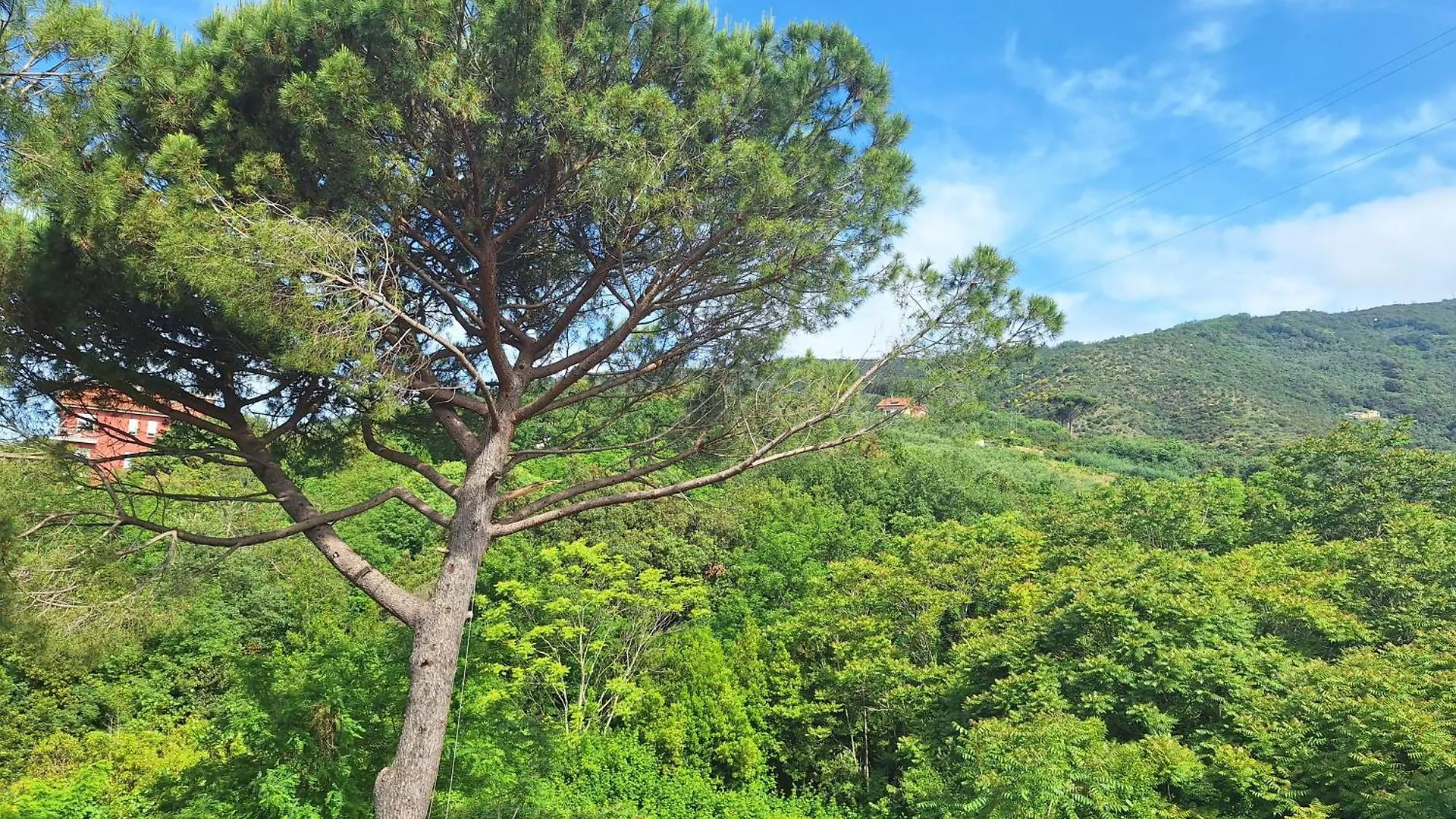 Artemisia Lejlighed Sestri Levante Italien